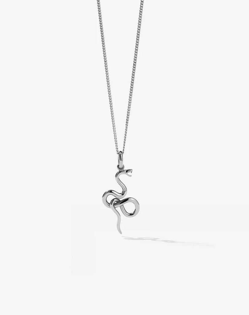 Meadowlark silver snake necklace