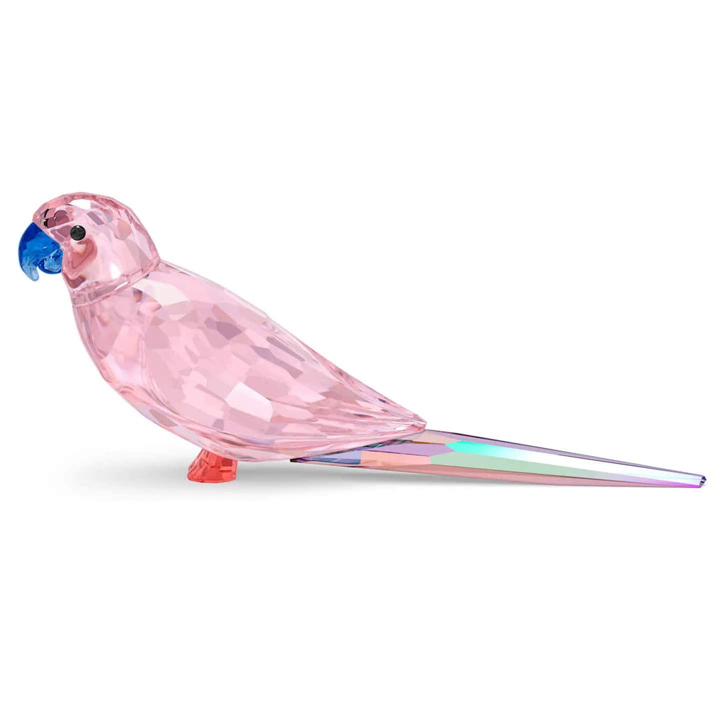 Swarovski crystal pink parakeet