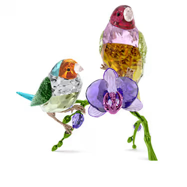 Swarovski crystal Gouldian Finches on an orchid branch