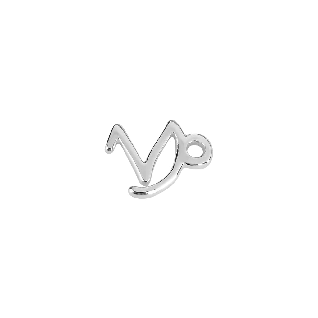 Silver capricorn zodiac charm