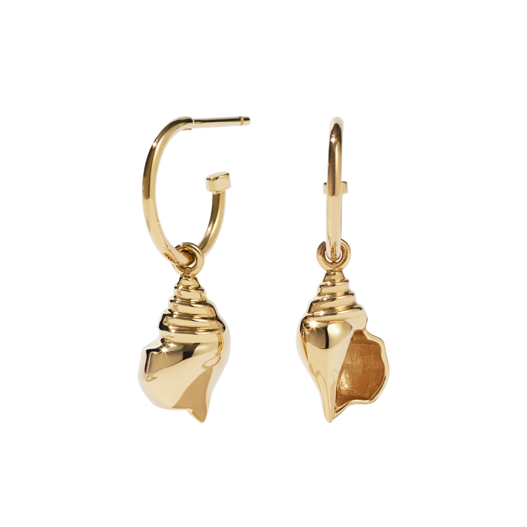 Meadowlark conch shell earrings