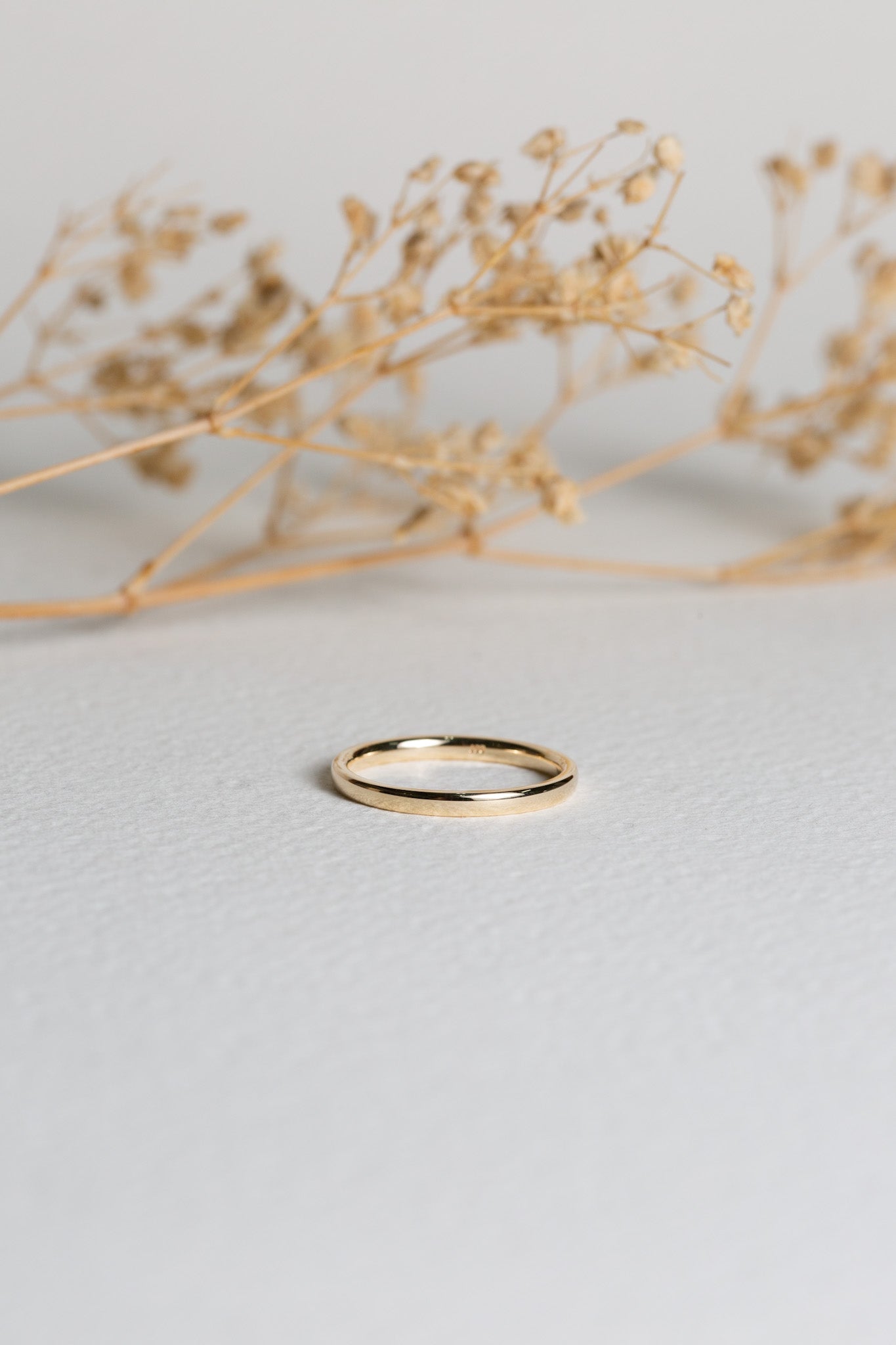 Ellipse Mini Band