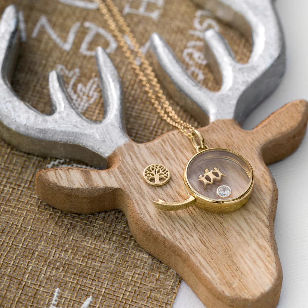 Stow Gold Medium Round Locket