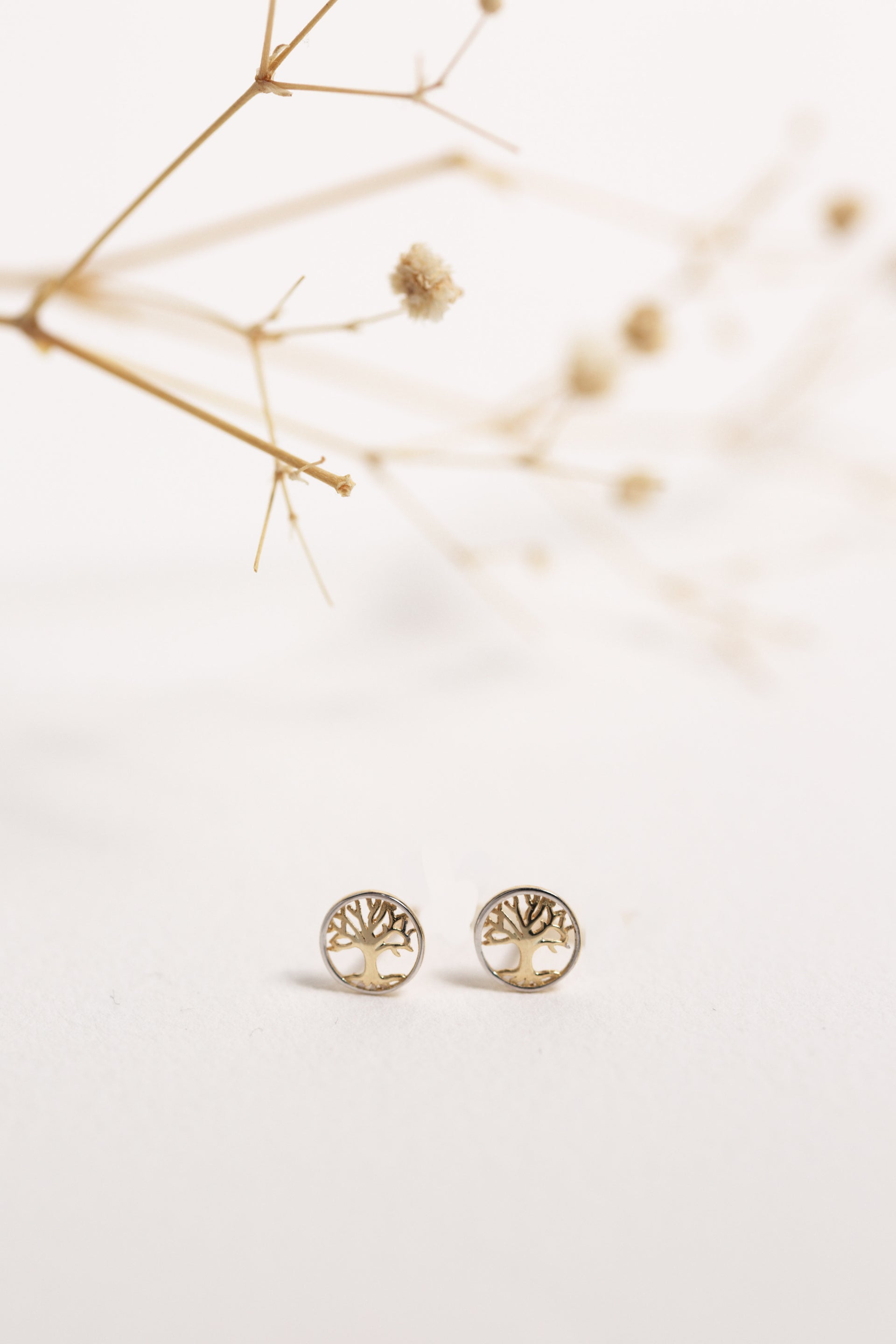 Tree of Life Stud Earrings | Wrights Jewellers NZ
