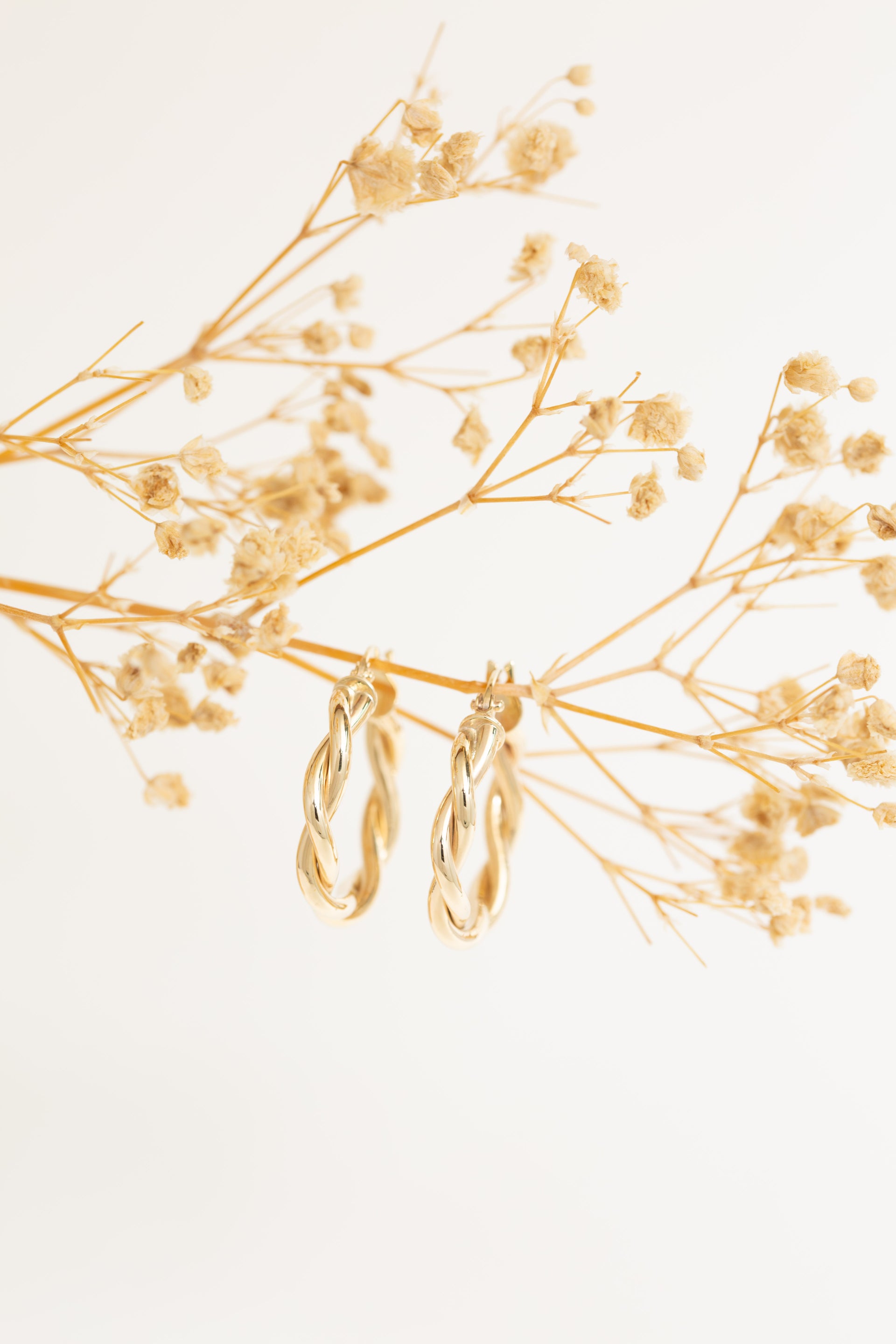 Helixa Hoop Earrings