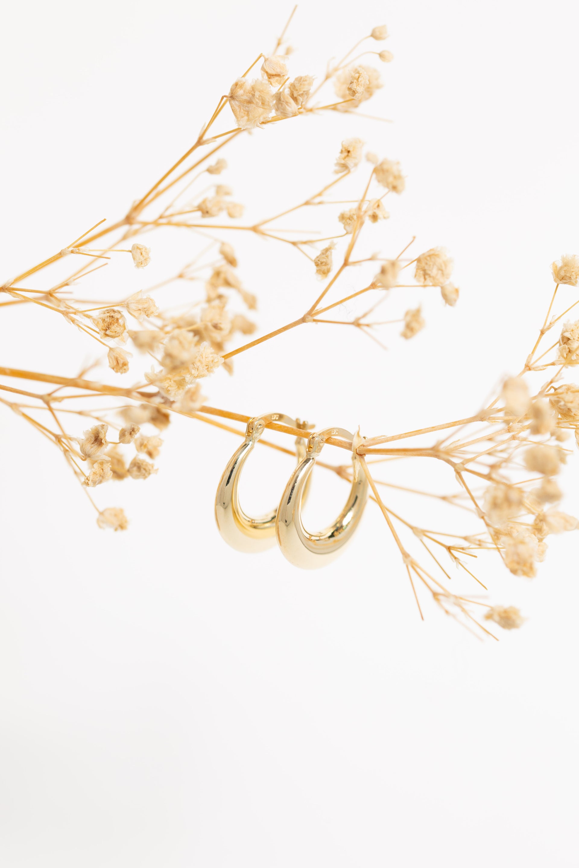Viva Hoop Earrings