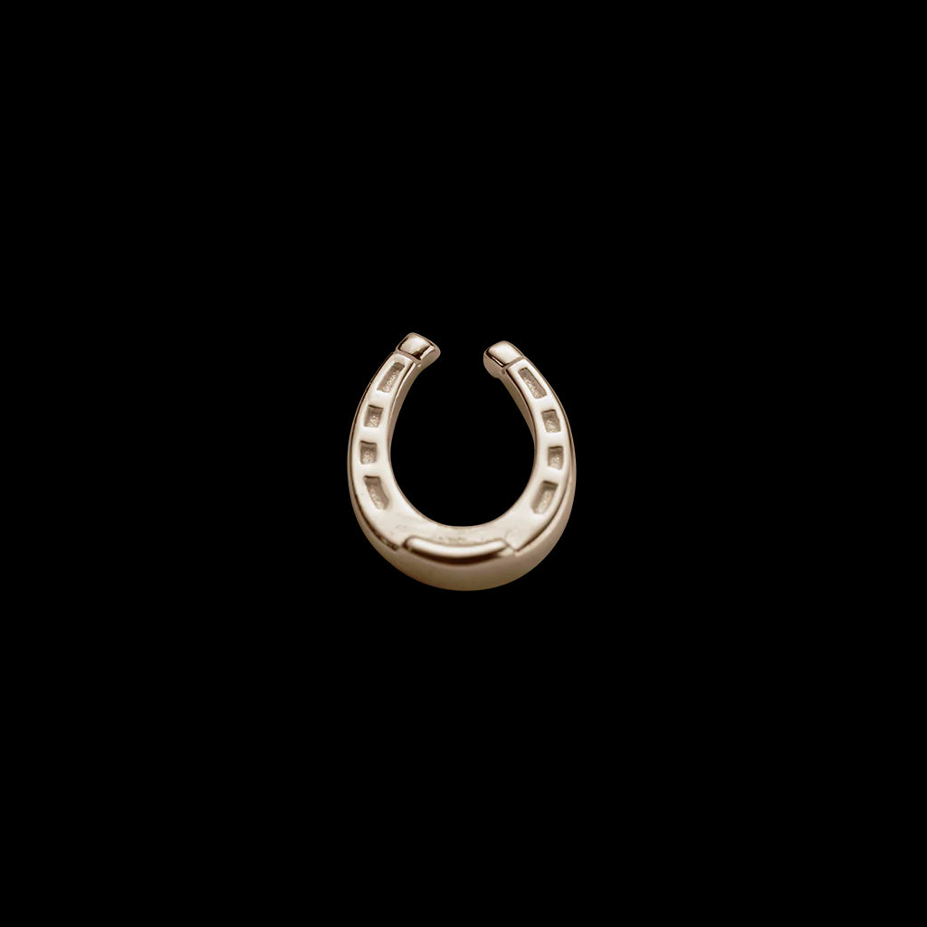 Lucky Horseshoe Charm - Good Luck