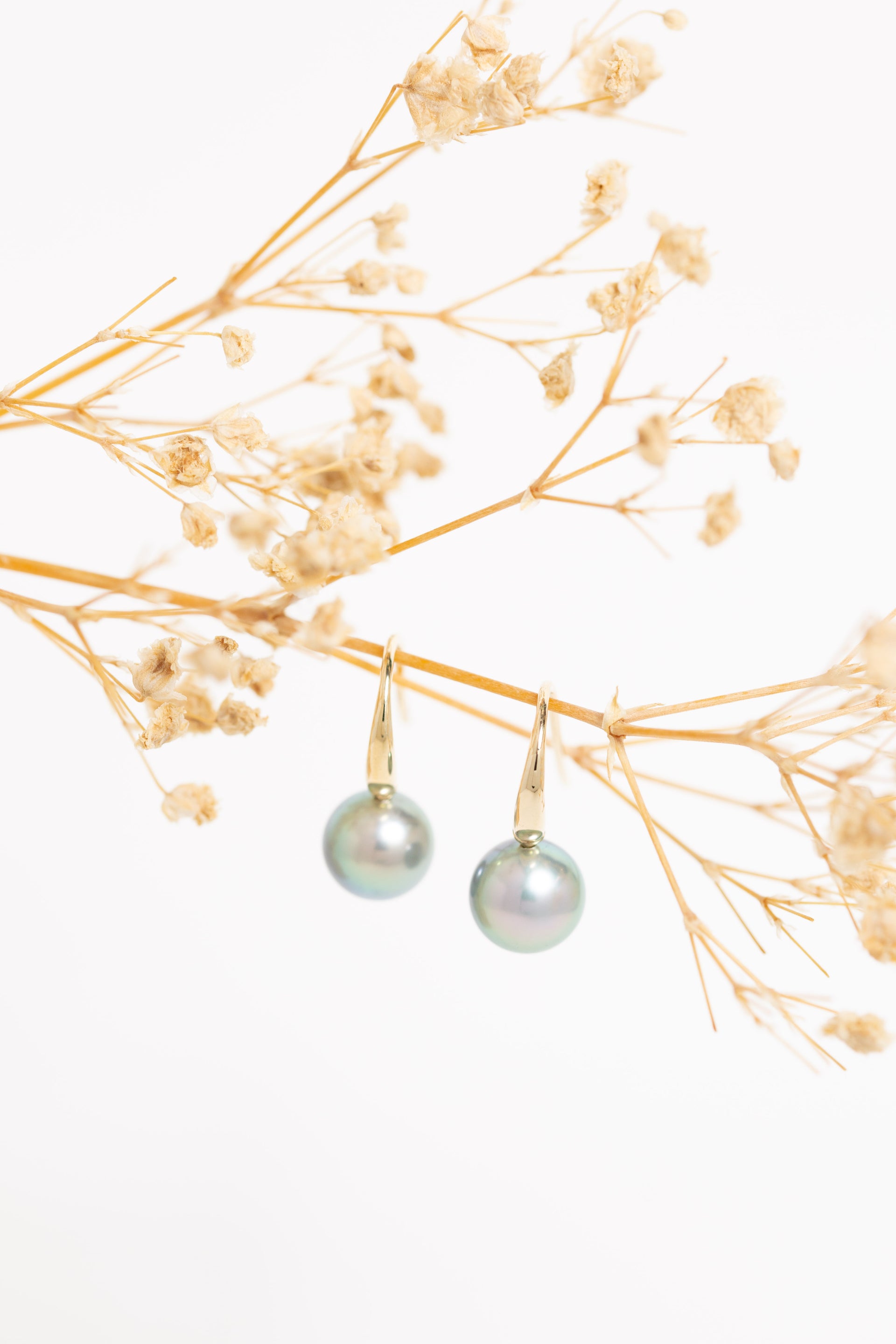 Tempest South Sea Pearl Earrings