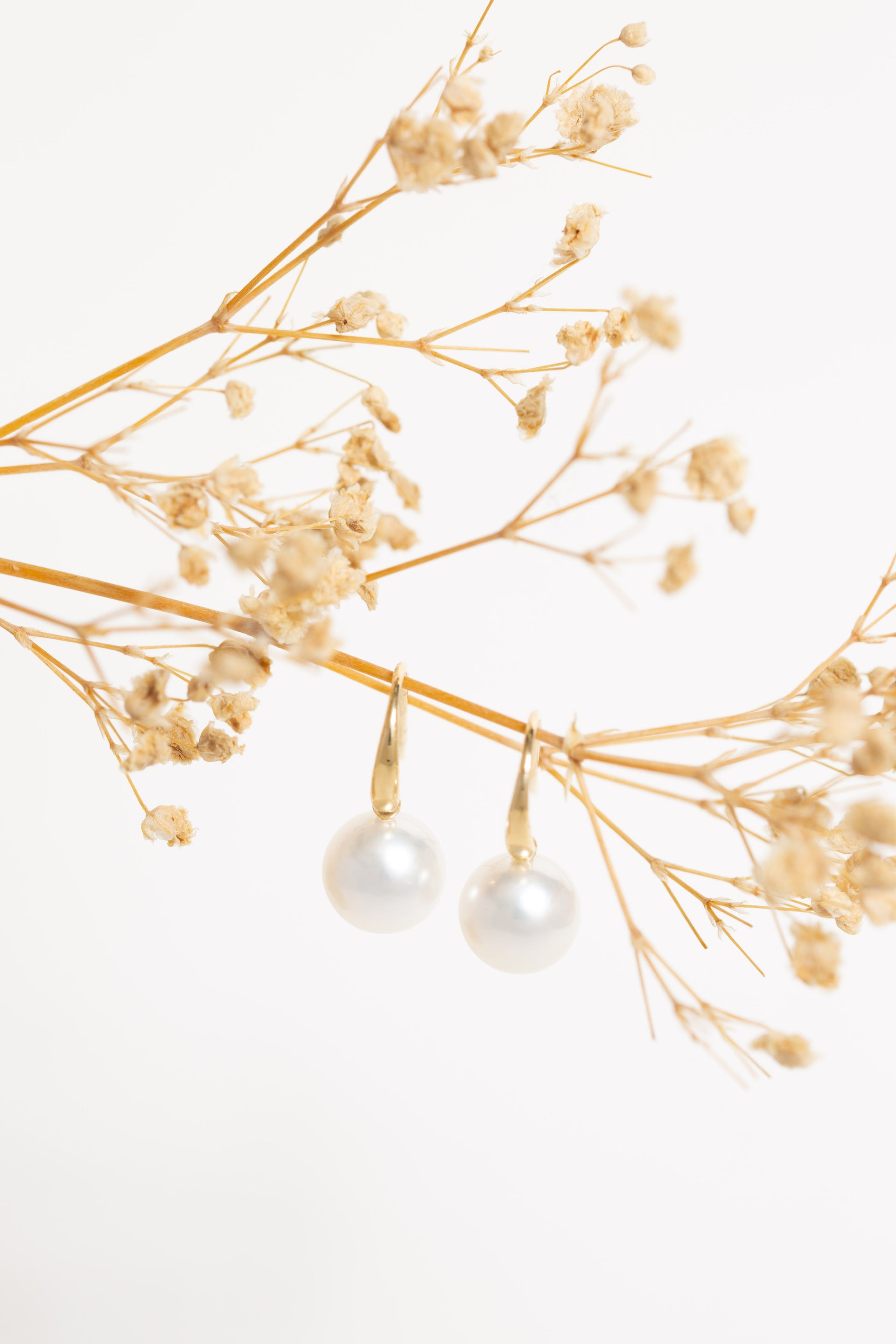 Solstice South Sea Pearl Earrings