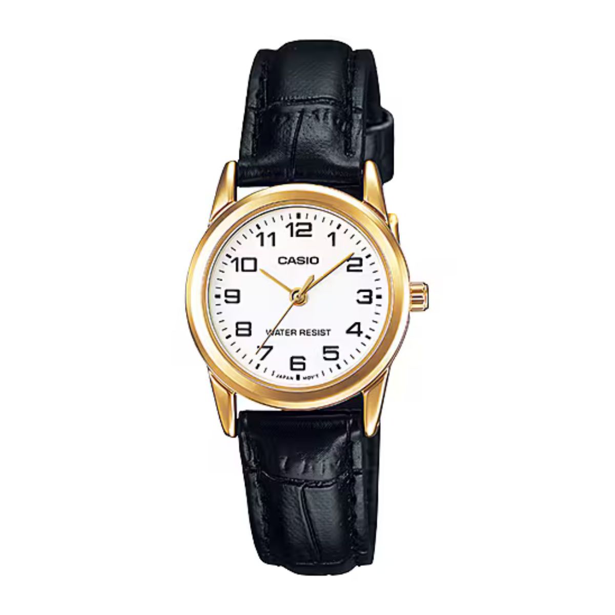 LTP-V001GL-7B Casio Ladies Watch | Wrights Jewellers NZ