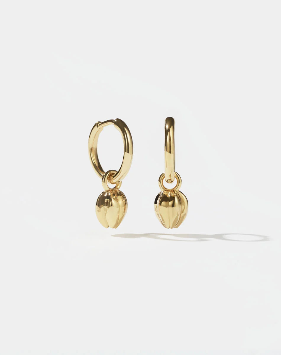 Meadowlark Tulip Charm Earrings 23k Gold Plated | Wrights Jewellers NZ
