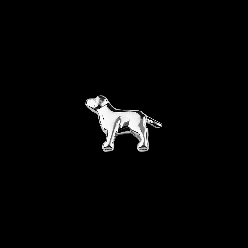 Dog Charm - Trusted