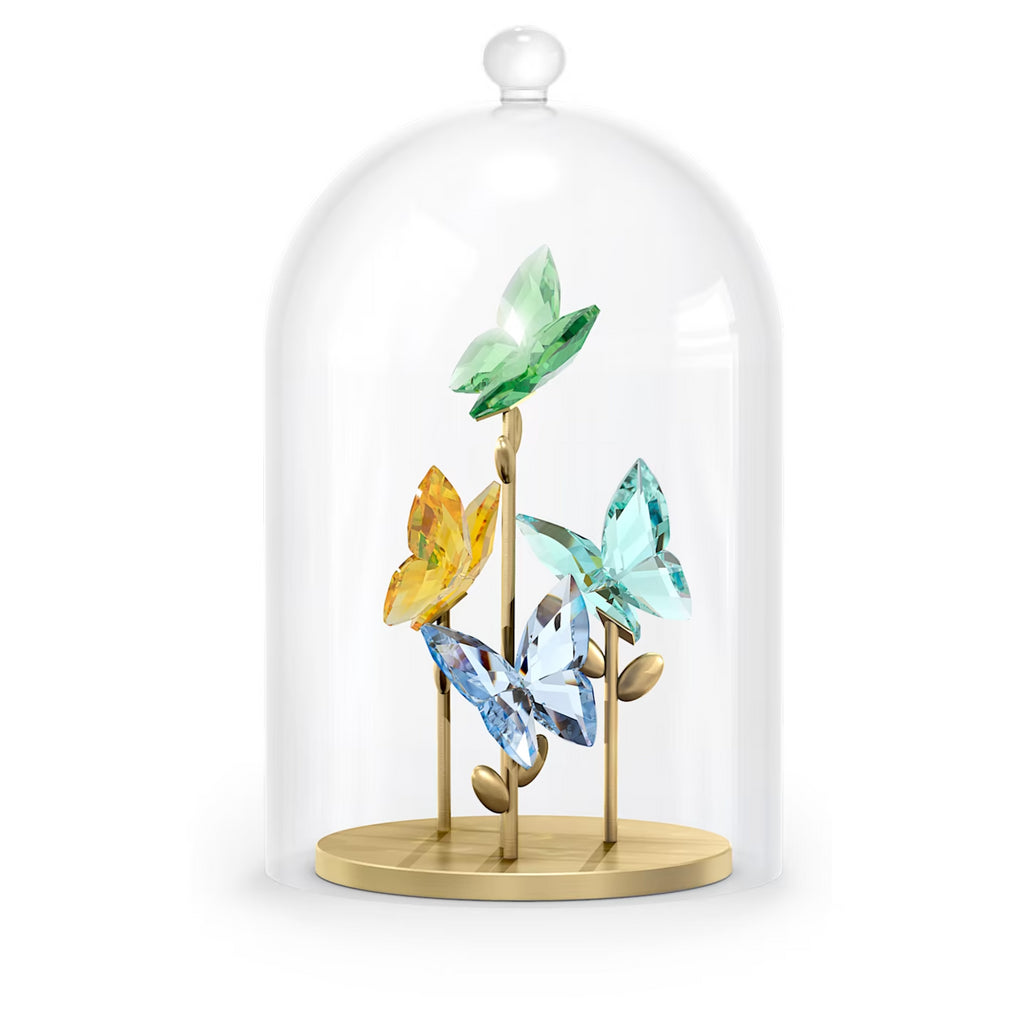 Swarovski Jungle Beats ornament with butterflies under a glass dome