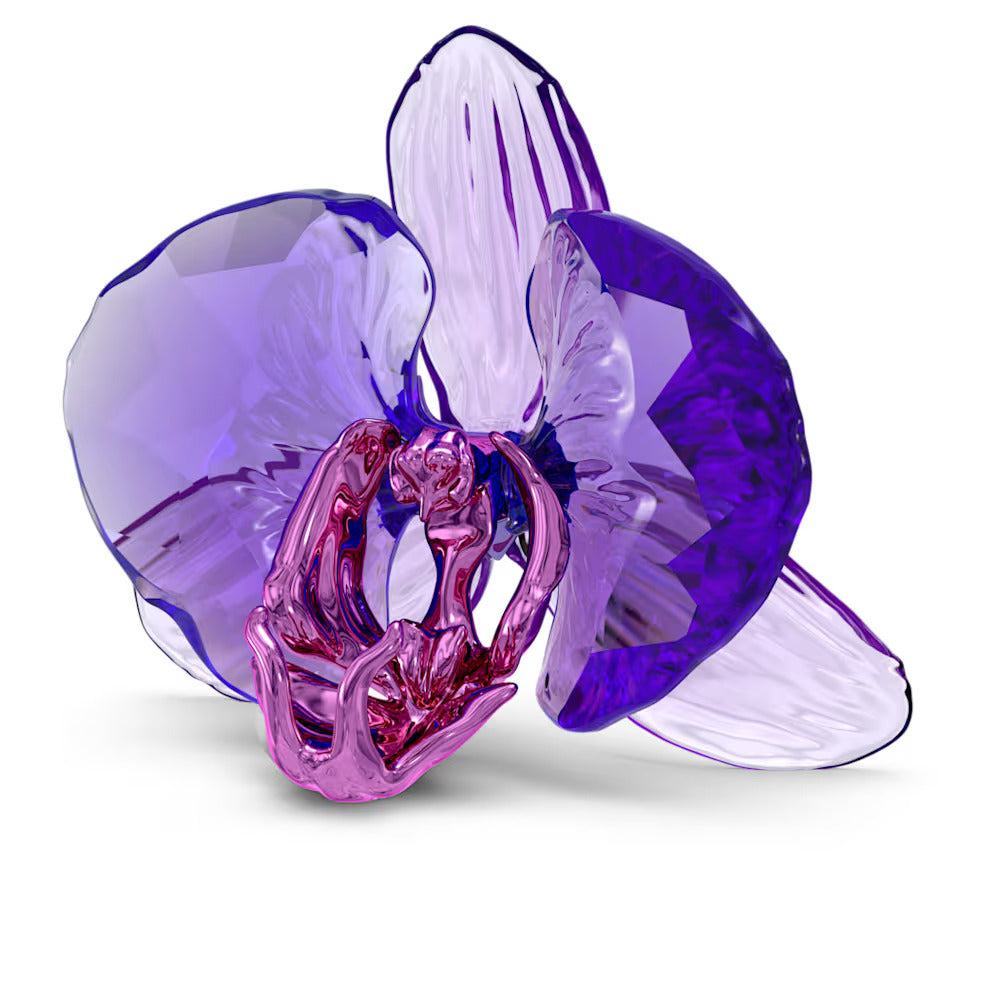 Swarovski SCS 2024 Orchid
