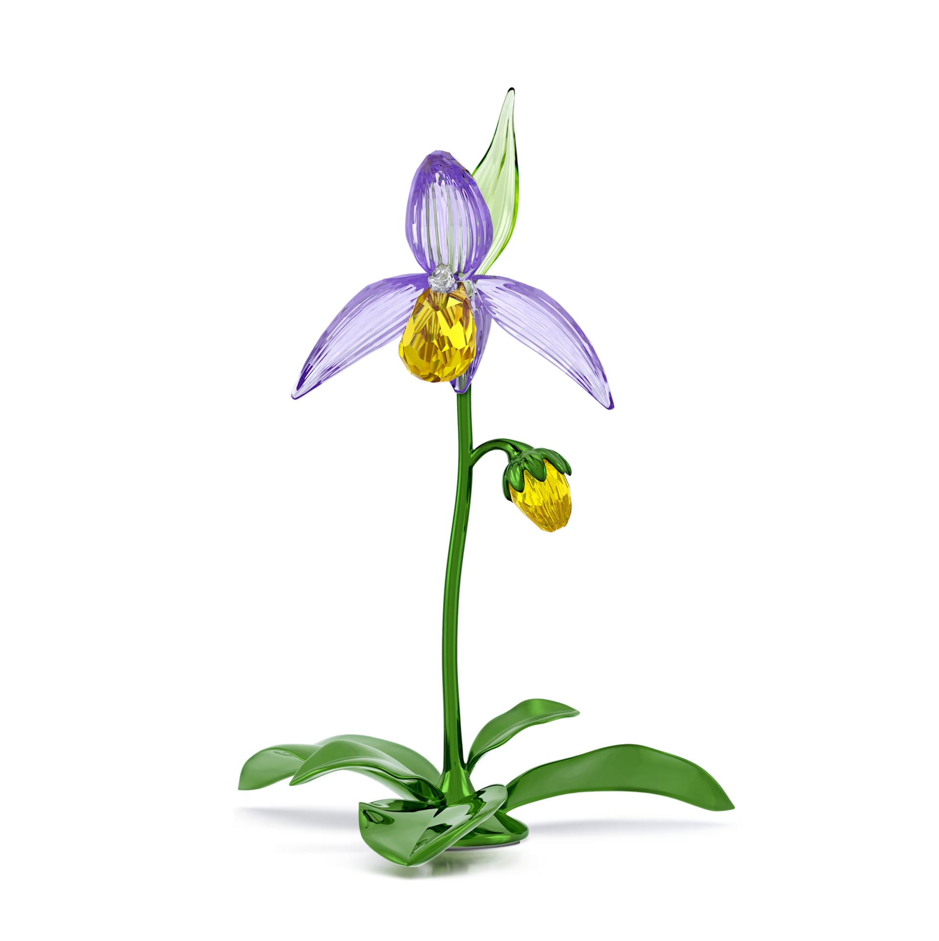 Swarovski Florere Lady Slipper Orchid | Wrights Jewellers NZ