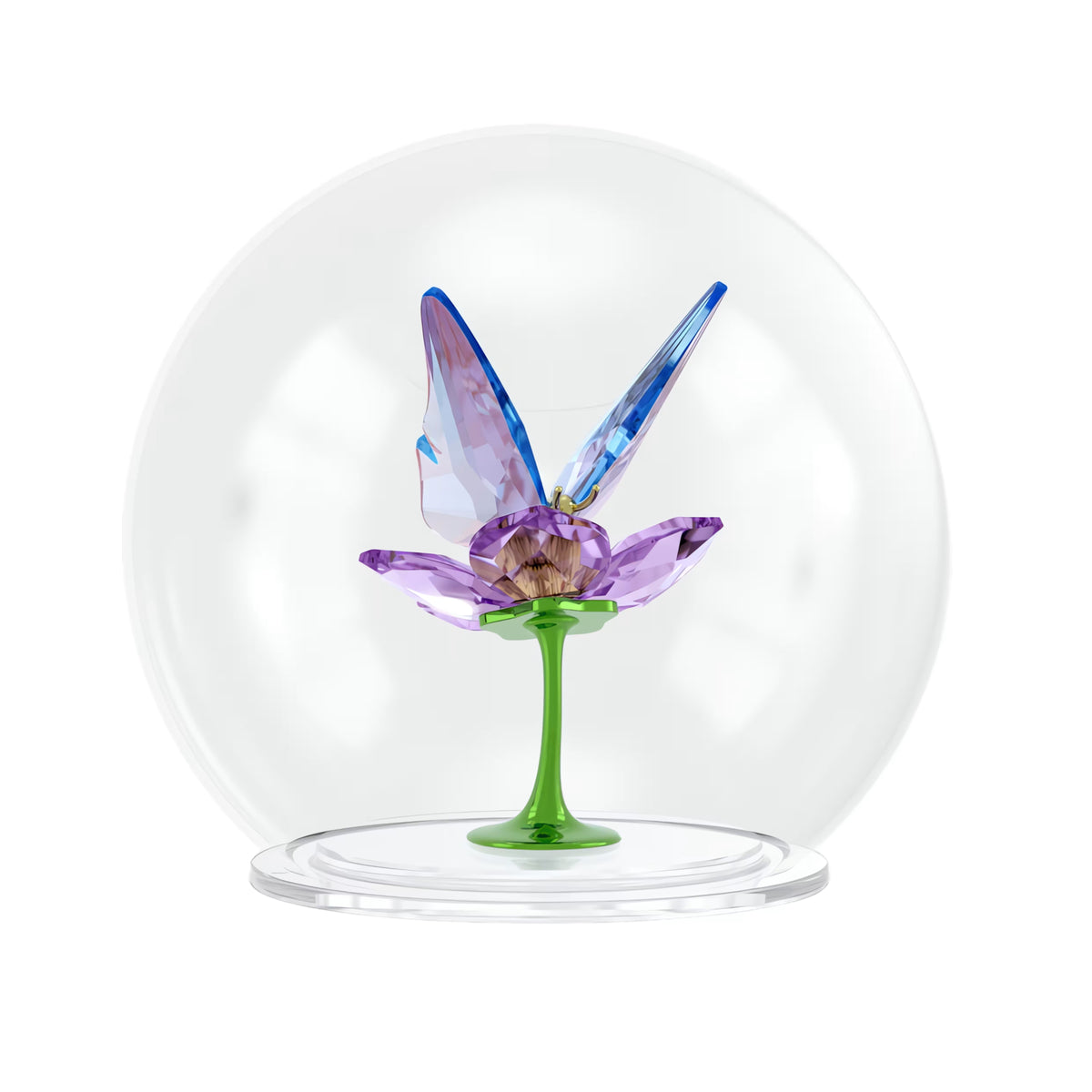 Swarovski Idyllia Butterfly & Flower - View 2 | Wrights Jewellers NZ