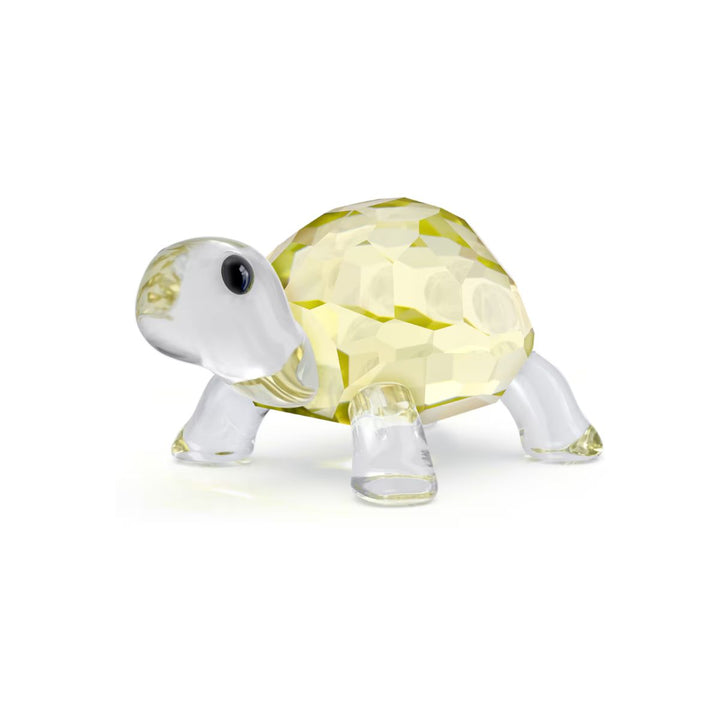 idyllia-baby-tortoise-swarovski-5721550