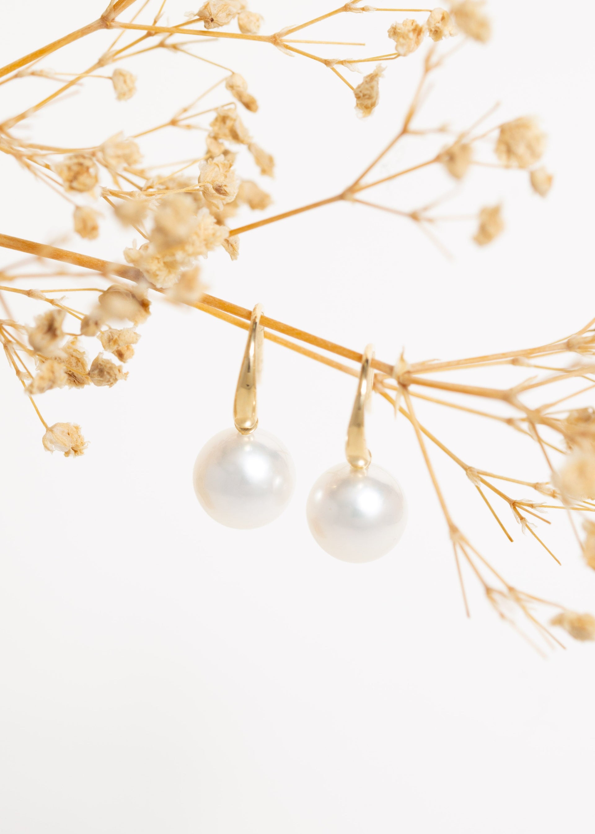 Solstice South Sea Pearl Earrings