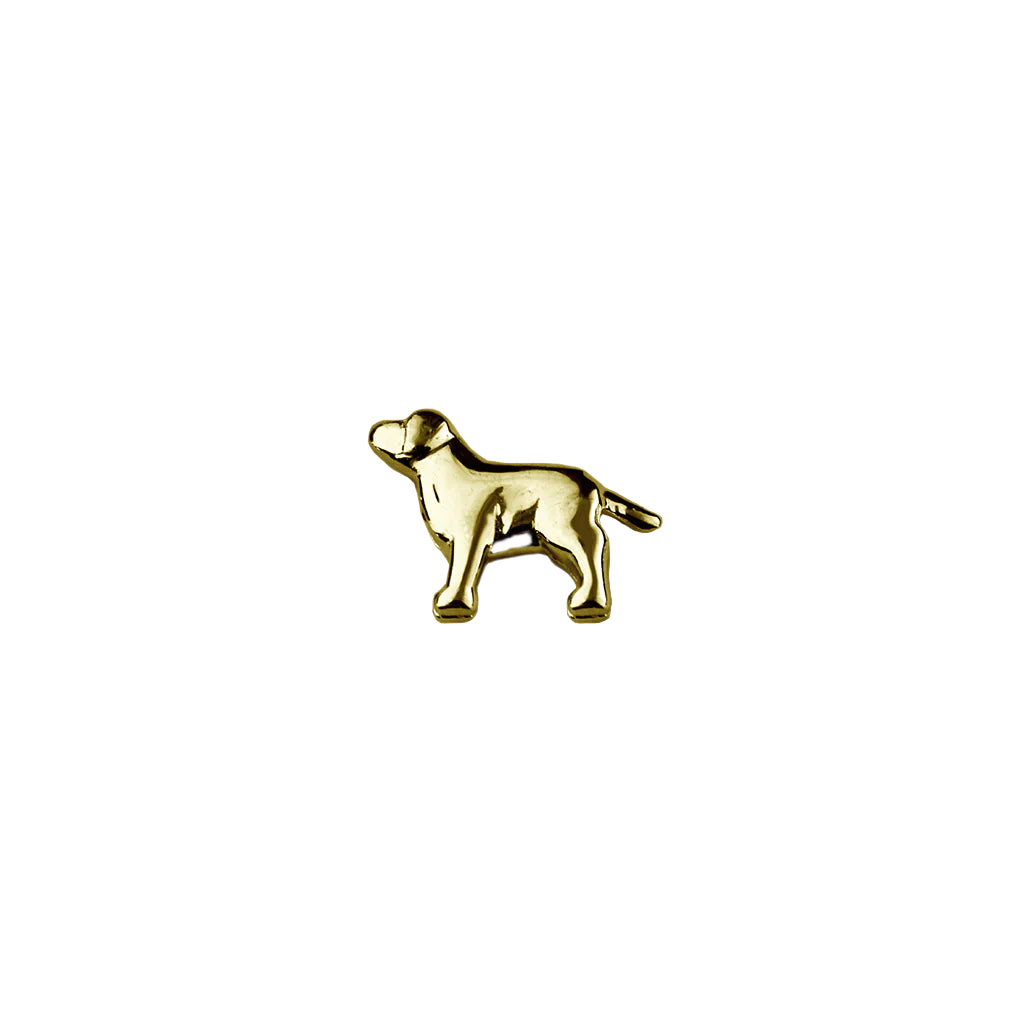 Stow Dog symbolising trusted loyalty and companionship