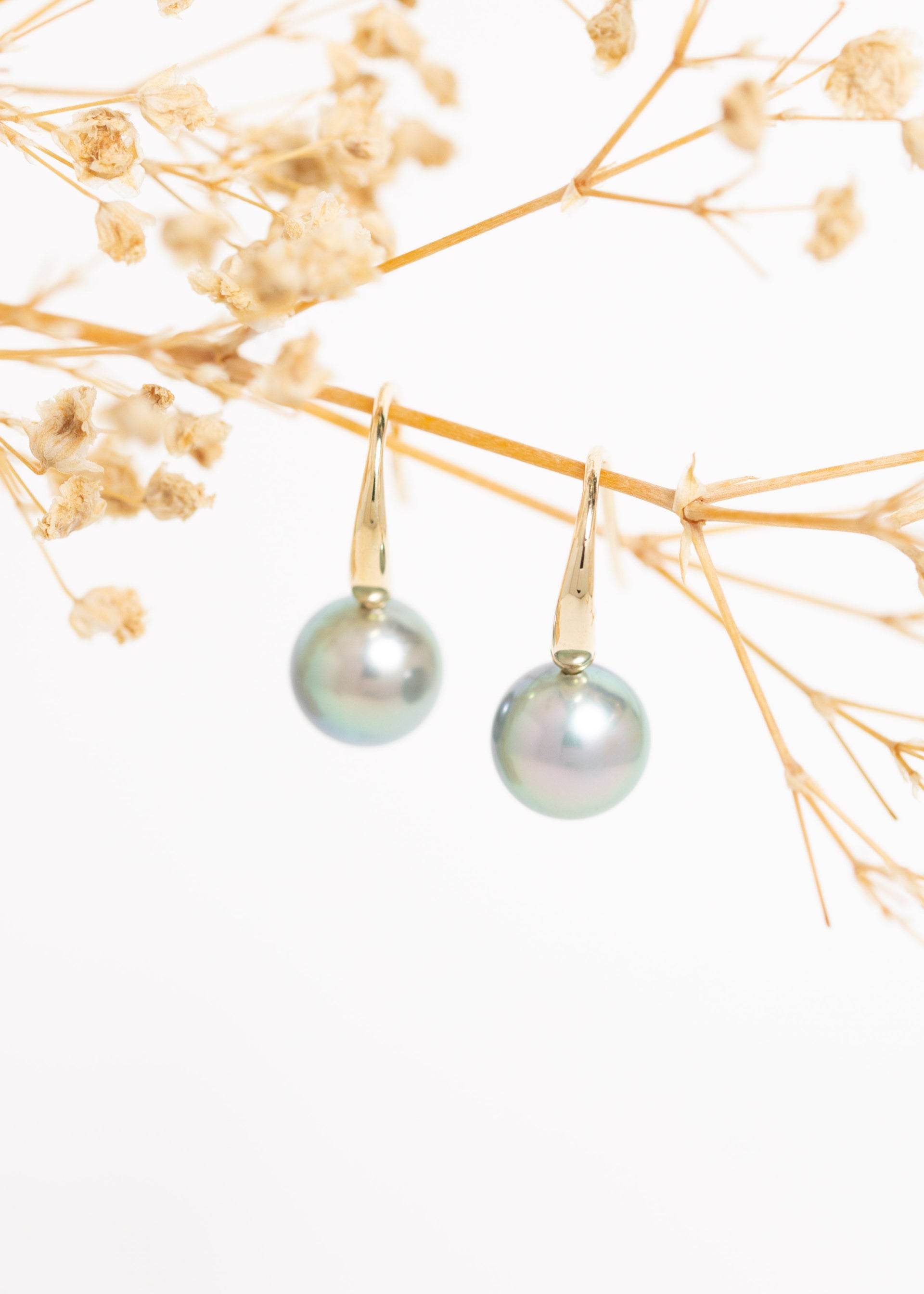 Tempest South Sea Pearl Earrings