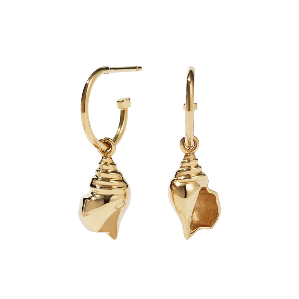 Meadowlark conch shell earrings